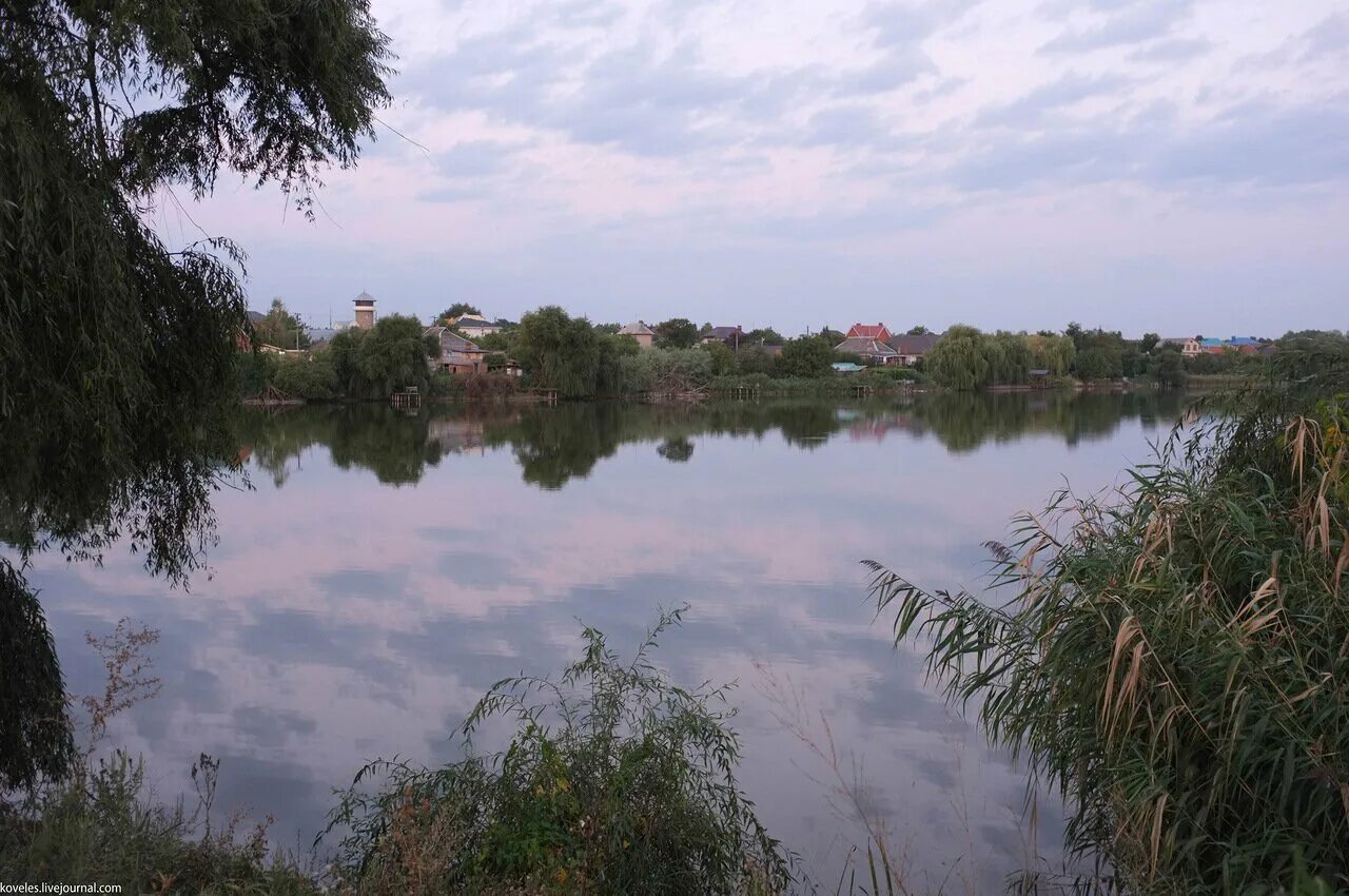 Погода в станице динской краснодарский край. Станица Динская Краснодарский край. Краснодар станица Динская. Станица Динская речка. Река в станице Динской Краснодарского края.