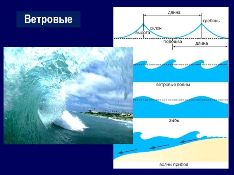 Вода в волне движется. Ветровые волны. Строение ветровой волны. Строение ветровых волн. Ветровые волны высота.