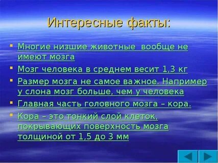 Интересные факты про человека