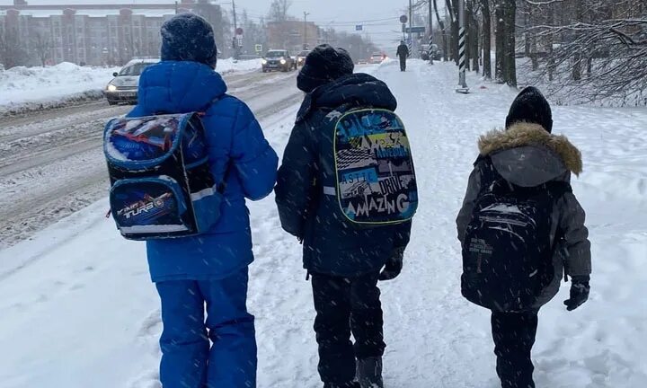Выплаты семьям с детьми в мае 2025. Выплаты семьям с детьми в мае 2025