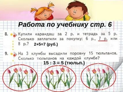Сколько луковиц в каждом ряду