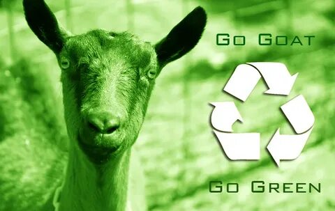 Goat перевод
