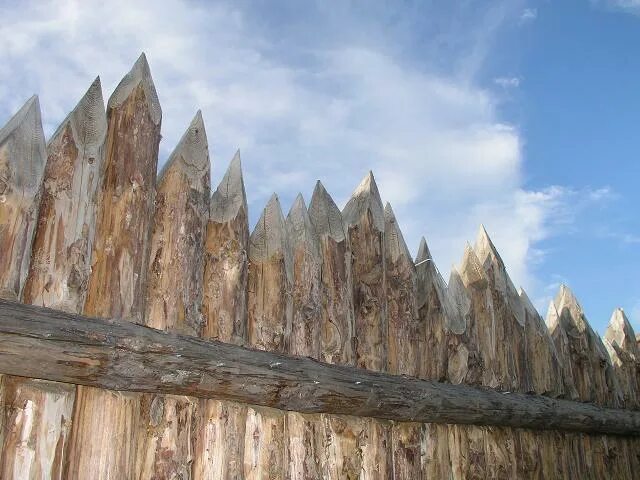 Зубы частокол. Деревенский забор. Забор из частокола. Заборы частоколы в древней руси. Старый деревянный забор.