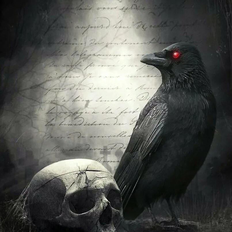 вороны. черный ворон в сумраке. черный ворон в сумраке. черный ворон. мрачный ворон.