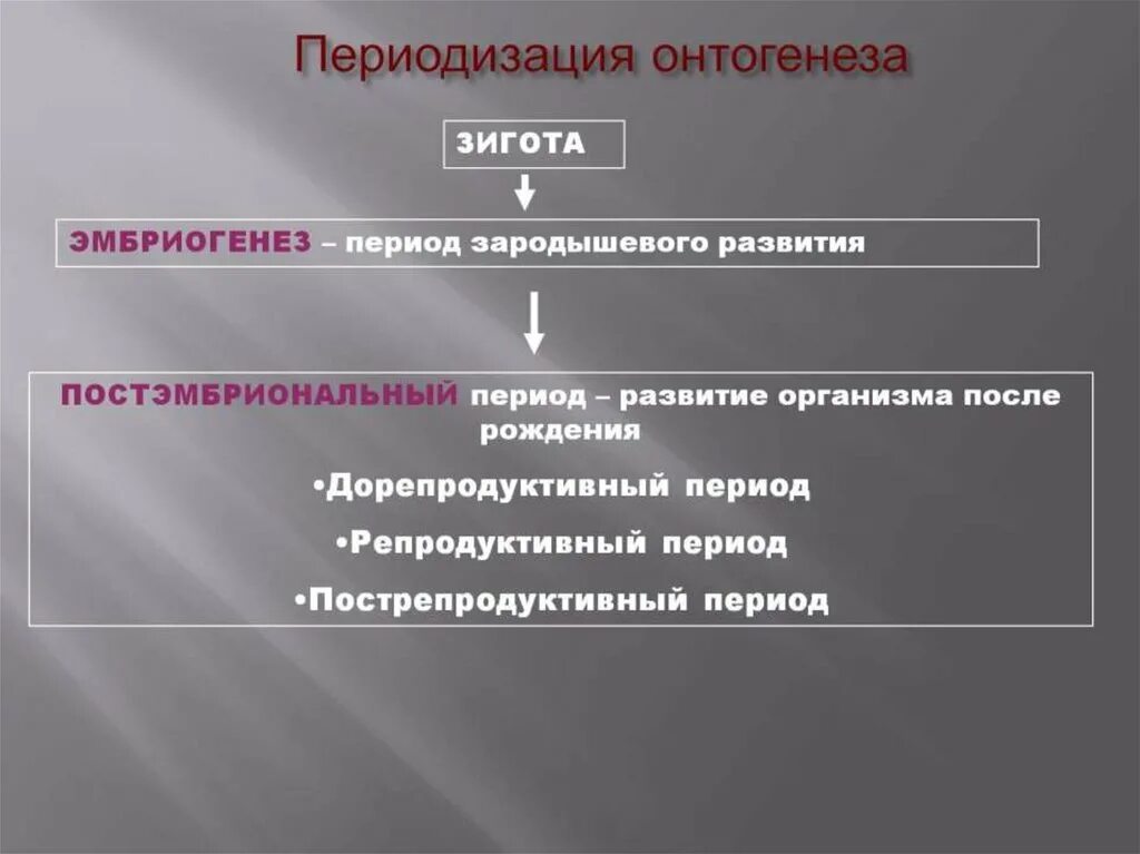 Репродуктивный период онтогенеза. Критические периоды постэмбрионального периода. Периоды постэмбрионального развития человека таблица. Этапы репродуктивного периода. Дорепродуктивный период человека.