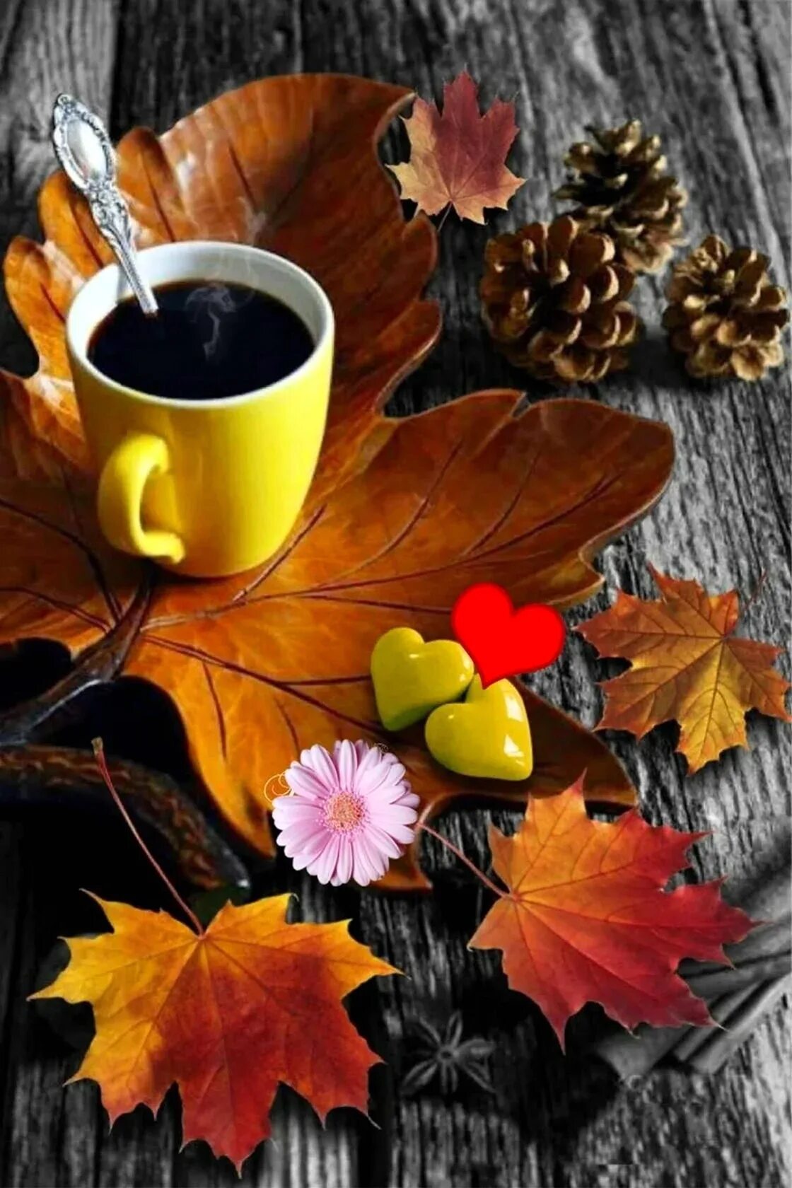 Осеннего настроения доброго утра. Осенний кофе. Доброе утро осень. Доброе осеннее утро. Осень кофе.