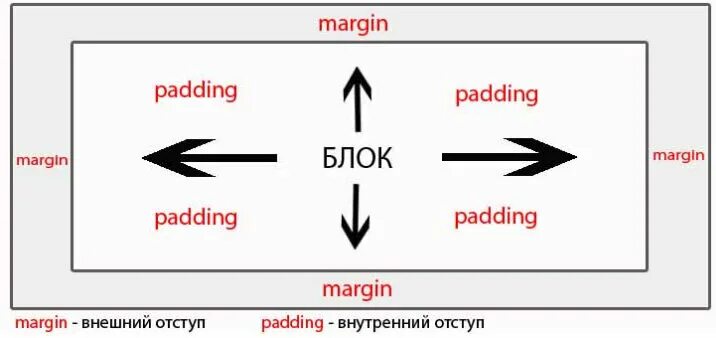 Margin padding. Margin padding CSS. Margin padding разница. Html margin и padding. Content margins