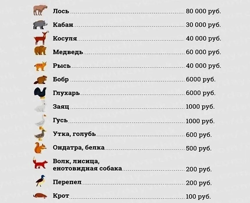 Штрафы за сбитых животных 2021. Таблица штрафов за сбитых животных. Штраф за сбитое животное 2021 таблица. Штраф за сбитое животное. Сколько штраф за сбитого