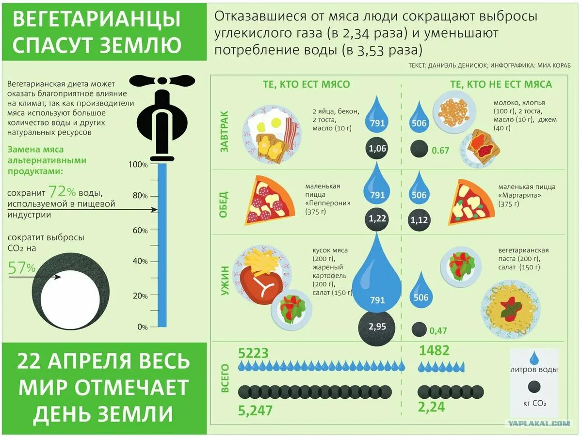 Вегетарианство статистика. Вегетарианство инфографика. Вегетарианцы и мясоеды статистика в мире. Веганы в России.