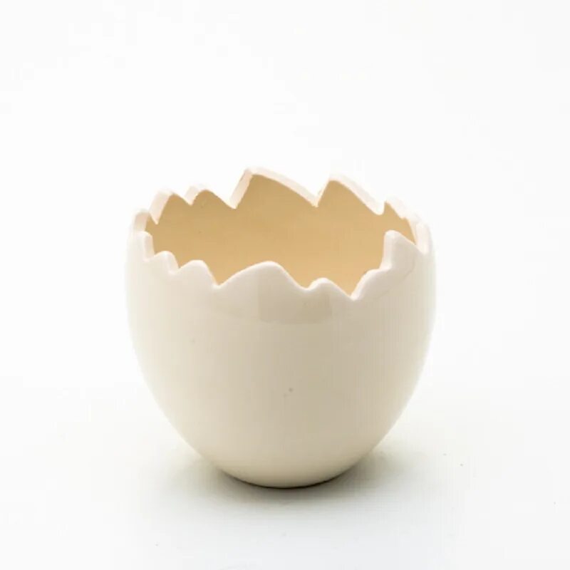 кашпо яйцо купить. кашпо яйцо керамика. кашпо яйцо скорлупа. кашпо яйцо. кашпо яйцо купить.