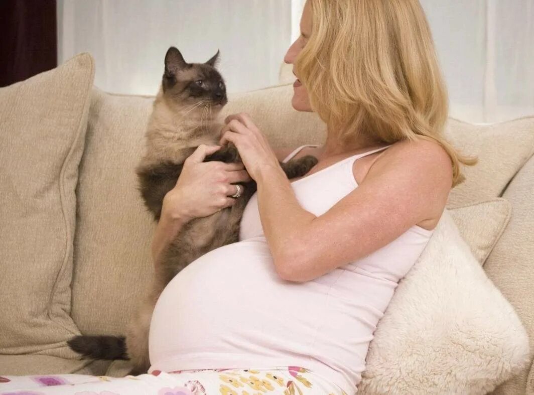 Кошка ложится на живот женщине. Беременная кошка на руках. toxoplasma и беременной. pregnant cat. можно беременной женщины гладить собак.