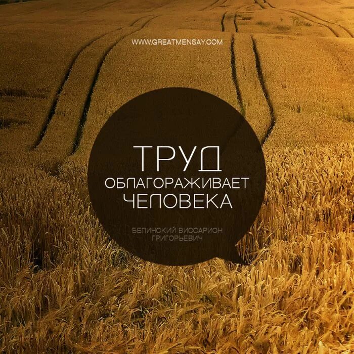 Высказывания известных людей. Цитаты известных людей. Велики цитаты. Великие цитаты великих людей. Цитаты невеликих людей.