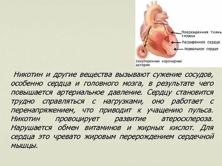 В сердце раны в легких никотин. При курении сосуды сужаются или. Никотин сужает или расширяет сосуды. От курения сосуды сужаются.