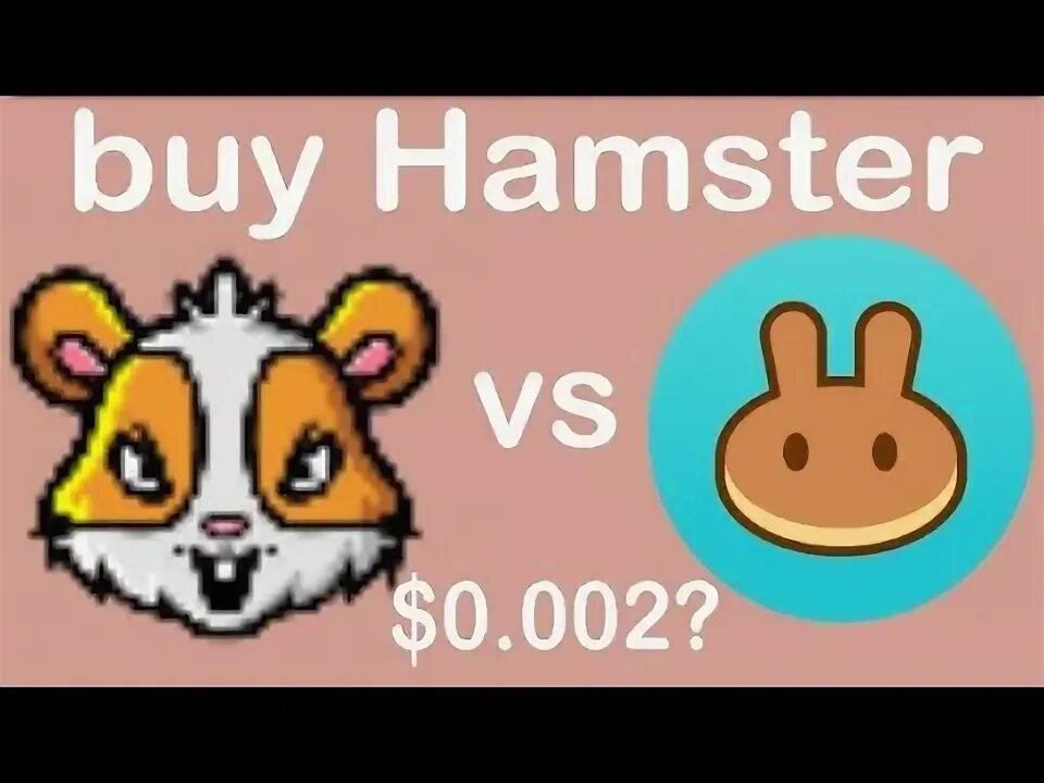 Hamster coin листинг. Хамстер коин. Hamster coin криптовалюта. Сколько дают хамстер коинов. Сколько дают хамстер коинов.