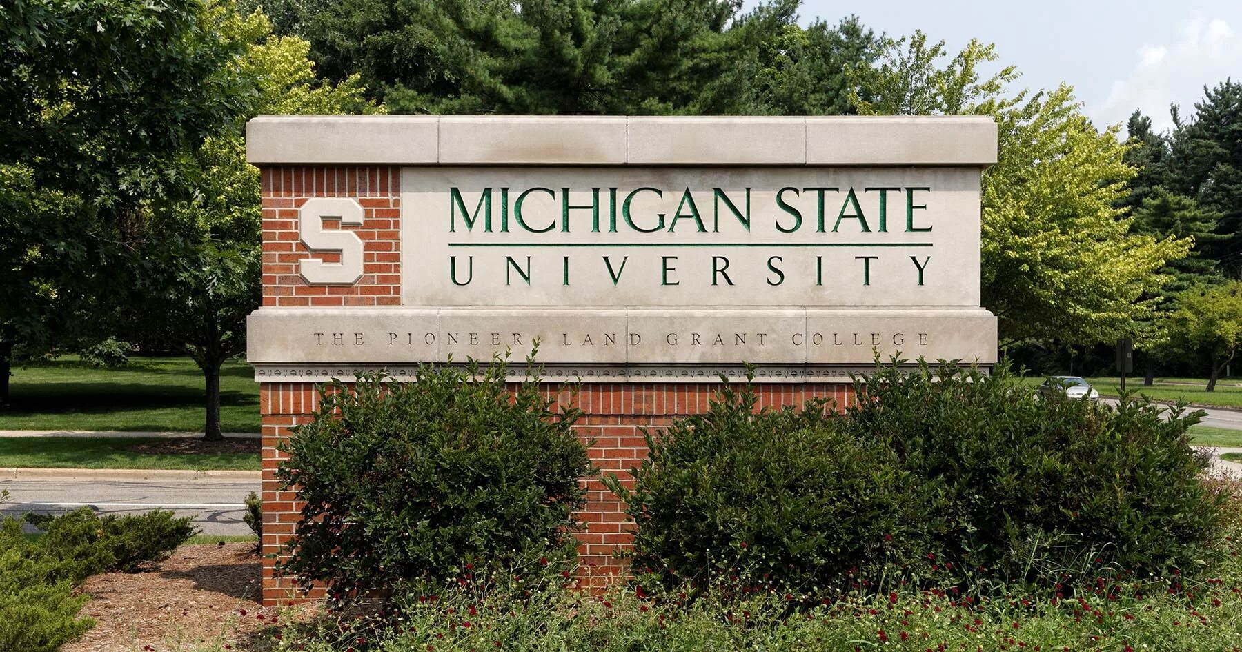My university s name