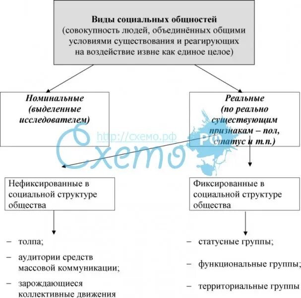 Картинки ОБЩНОСТИ КОТОРЫЕ НЕЛЬЗЯ ОТНЕСТИ К СОЦИАЛЬНЫМ ГРУППАМ
