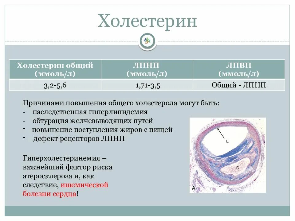 Повышен холестерин лпнп в крови у мужчин. Общий холестерин. Холестерин общий и ЛПНП И ЛПНП. Холестерин и общий холестерин. Холестерол общий.