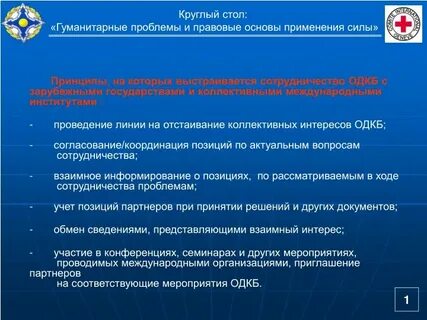 Гуманитарные проблемы