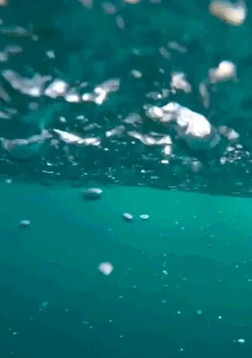 Изумрудная вода. Под водой анимация. Под водой анимация. Лучи под водой. Вода анимация.