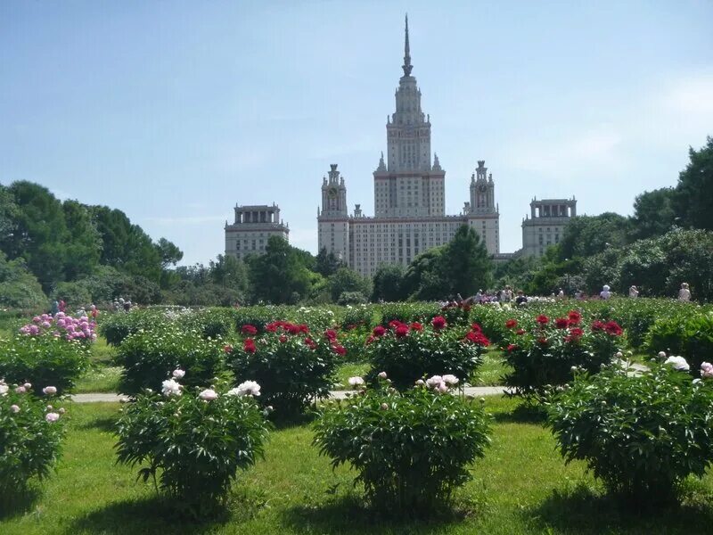 Цветков мгу. Ботанический сад биологического факультета МГУ. Ботанический сад Московского государственного университета, Москва. Ботанический сад МГУ Ломоносова. Ботанический сад МГУ Воробьевы горы.