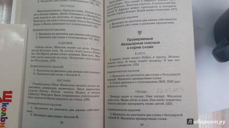 Контрольный диктант птицы. Диктант птицы. Диктанты повышенной сложности 1-2 класс Узорова. Птица из диктанта. Диктант Птичья столовая.