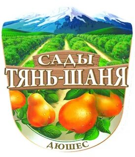 Orginfo uz