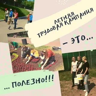 Трудовая кампания