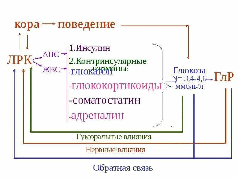 Действие гормона адреналина и инсулина. Действие гормона адреналина и инсулина. Действие гормона адреналина и инсулина. Действие гормона адреналина и инсулина. Действие гормона адреналина и инсулина.