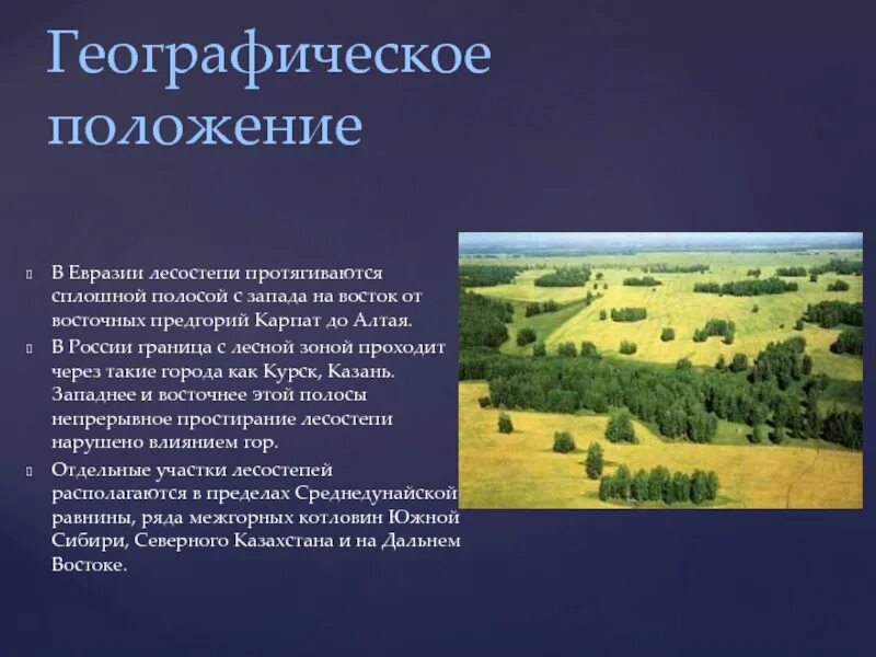 Географическое положение лесостепи в Евразии. Географическое положение лесостепи на карте. ГП лесостепи в России. Географическое положение лесостепи и степи в Евразии. Географическое положение лесостепей и степей в россии