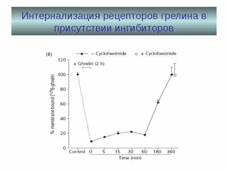Ингибиторы протеолитических ферментов показания к применению. Ингибиторы примеры. Графический метод определения. Ингибирование пцр причины. Ингибиторы примеры.