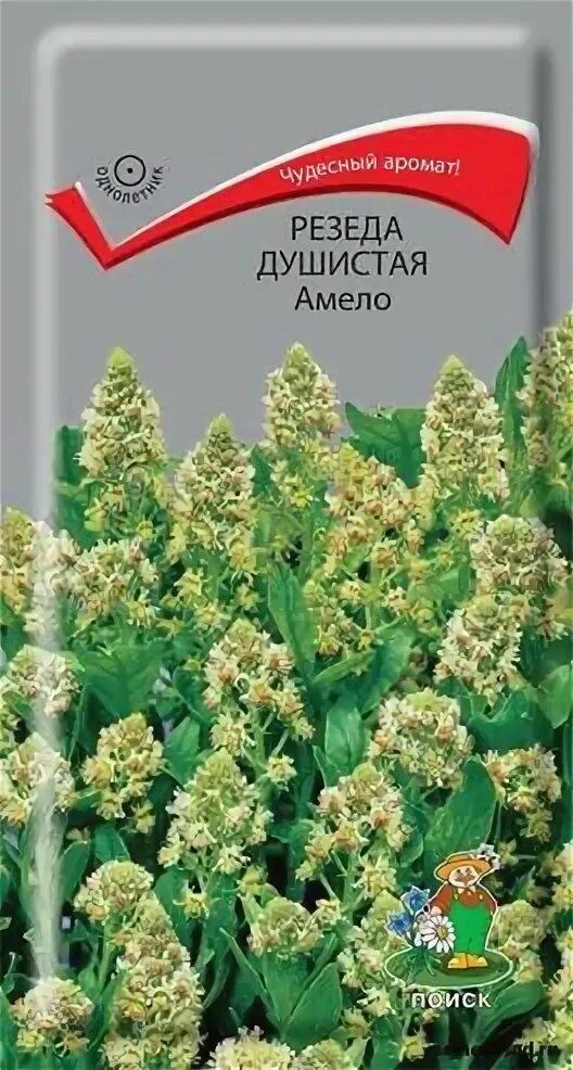 Семена Резеда душистая. Резеда Хавская душистая. Reseda odorata семена. Резеда душистая романтика. Резеда купить семена