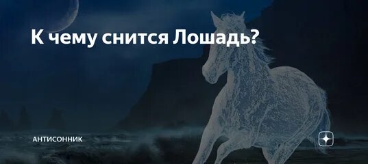 Толкование снов к чему снятся лошади. Конь во сне. Снится лошадь. Если снятся лошади. Сонник лошадь во сне.