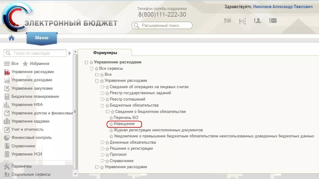 Извещение в электронном бюджете. Электронный бюджет. Техподдержка электронный бюджет. Электронный бюджет формуляры. Сведения о денежном обязательстве