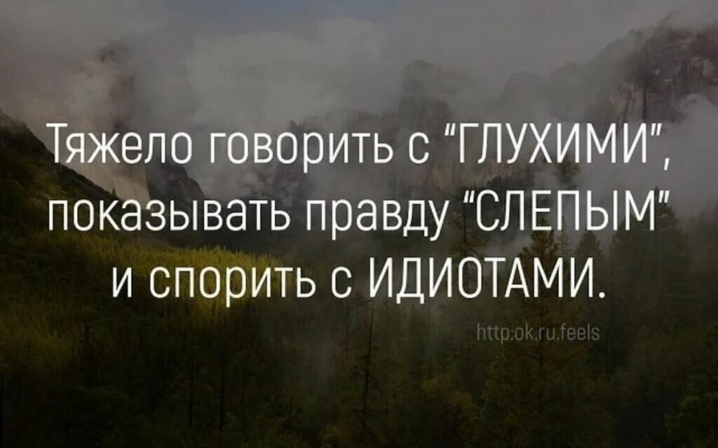 Нелепо спорить впр. Цитаты про дураков со смыслом. Цитаты про тупых людей со смыслом. Афоризмы про дураков и идиотов. Про придурков высказывания.