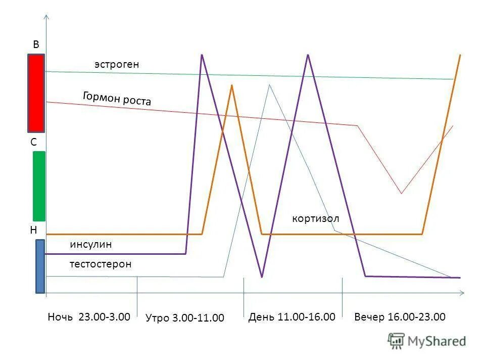 Частоты гормона роста. Суточные колебания уровня кортизола. График кортизола. График уровня кортизола. Изменения уровня кортизола.