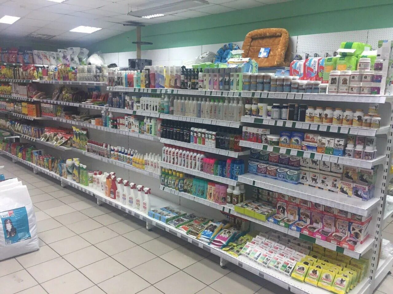 Магазин животных улан удэ. Зоомагазин улан удэ каталог. Дружок зоомагазин улан-удэ. Зоомаркет в улан-удэ. Зоомаркет в улан-удэ.