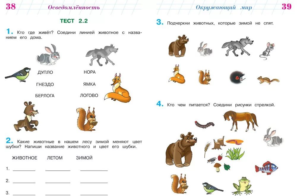 Тесты школьных заданий. Готов ли я к школе для детей 6-7 Ломоносовская школа. Ломоносовская школа готов ли я к школе 6-7 лет. Ломоносовская школа тесты для дошкольников. Готов ли я к школе диагностика для детей 6-7 лет Ломоносовская школа.