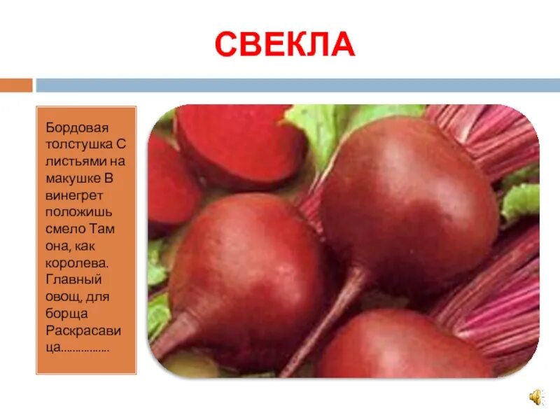 Свекла группа. Борщ со свеклой. подготовка свеклы для борща. сорт свеклы для борща. свекла свежая маркировка.