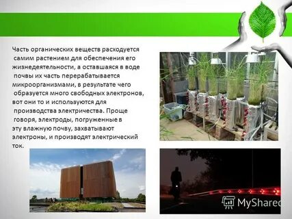 Являются органической частью