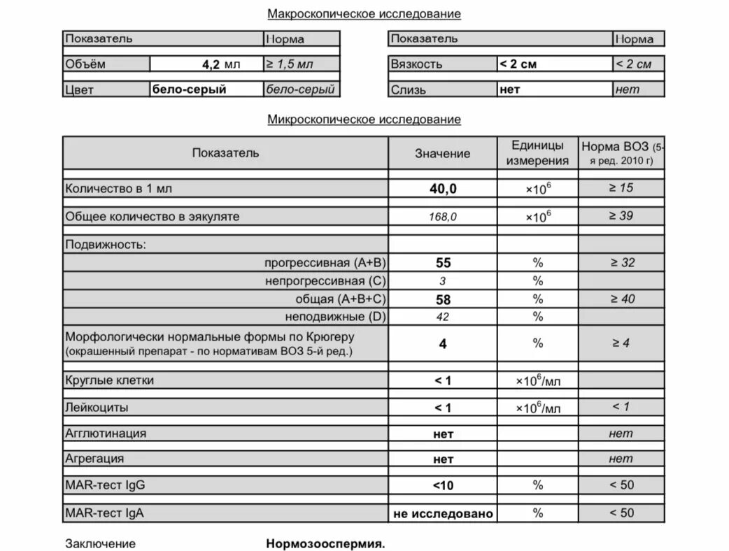 Норма теста у мужчин. Расшифровка Mar теста спермограммы. Mar тест нормальные показатели у мужчин. Антиспермальные антитела класса iga количественно (Mar-тест iga).
