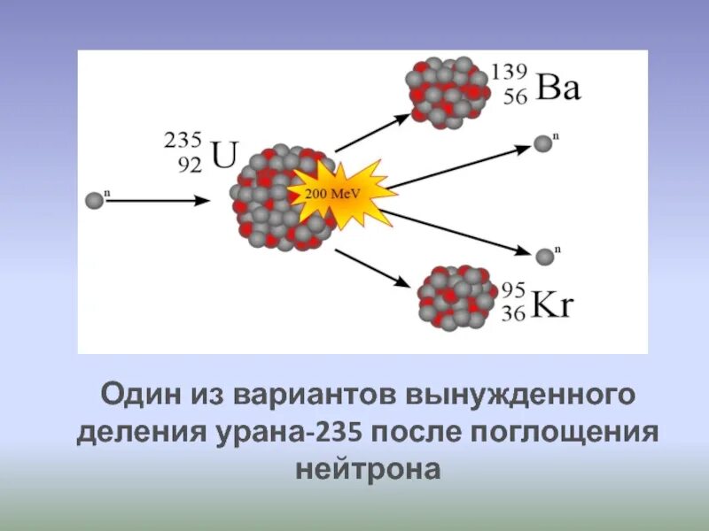 Вынужденное деление урана 235. Варианты деления урана. Реакция деления урана 235. Плотность урана 235.