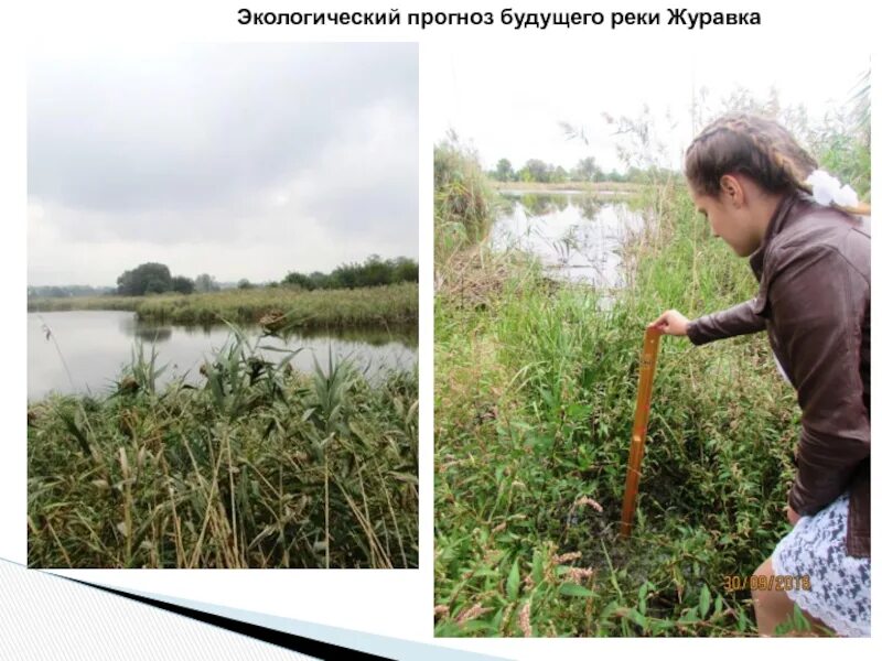 Экологический прогноз. Экологическое прогнозирование. Экологический прогноз пример. Экологический прогноз 3 класс. Что такое экологический прогноз