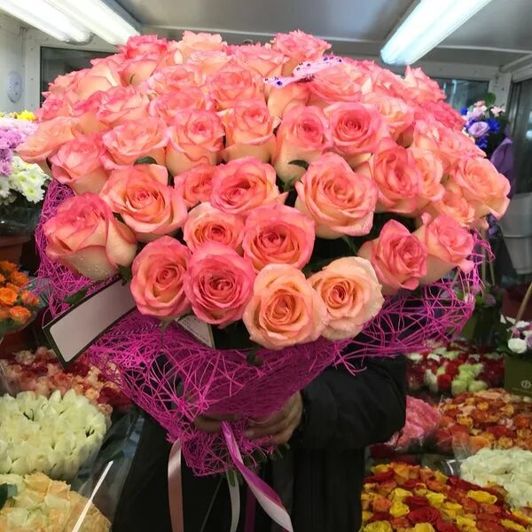 Flowers владикавказ. Растения владикавказа. Камелия цветы, владикавказ. Цветы владикавказ недорого. Магазин цветы владикавказ.