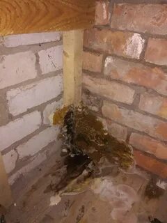 Грибок. - Сообщество "Гараж Мечты" на DRIVE2