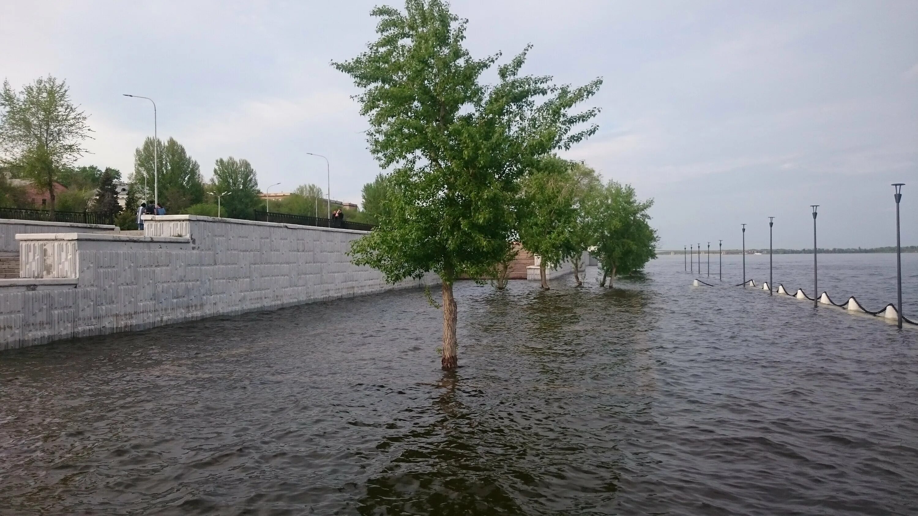 Затопляемая долина реки. Паводок реки Волга. Половодье реки Волга. Волгоград половодье. Разлив реки Волга.