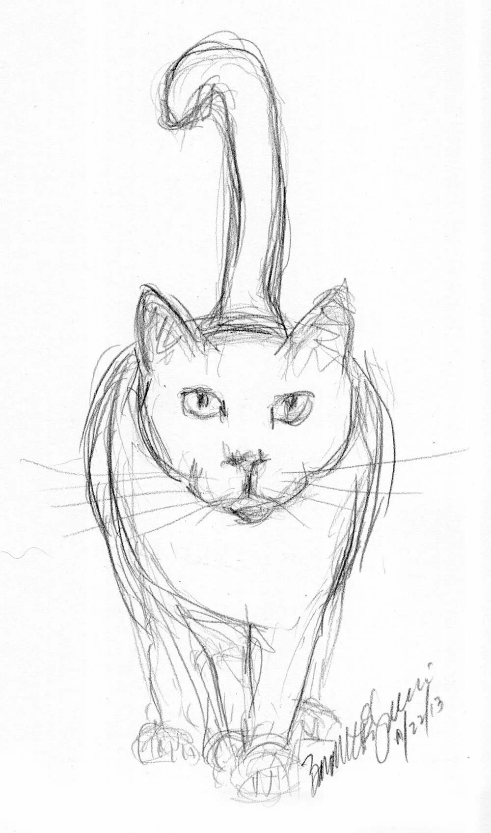 Котик карандашом легко. Кошка рисунок карандашом. наброски кошек карандашом. кот рисунок карандашом для срисовки легкие. картинки кошек для срисовки.