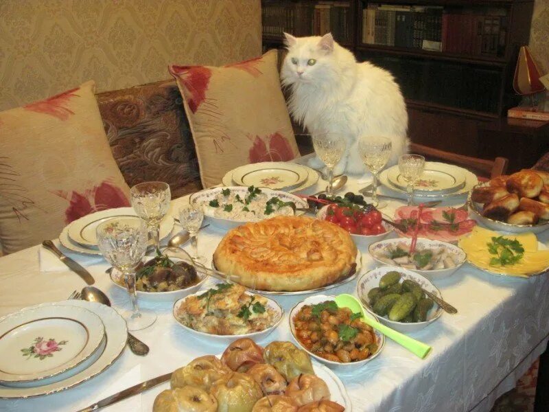 Чего только не было на столе. Кот на праздничном столе. коты за новогодним столом. кот и новогодний стол. кот за праздничным столом.
