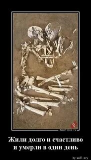 Жить долго не умирая