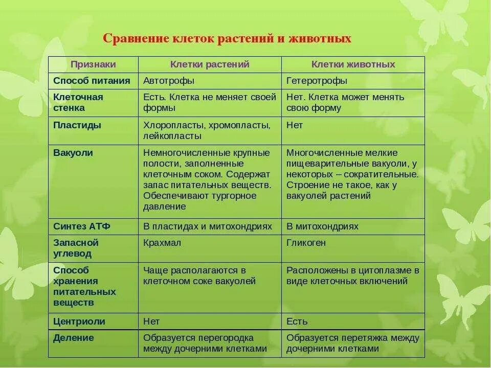 Темы организационных родительских собраний в детском саду. Темы родительских собраний в ДОУ. Родительское собрание в детском саду тематическое. Тематическое родительское собрание в ДОУ. Родительское собрание в подготовительной группе март