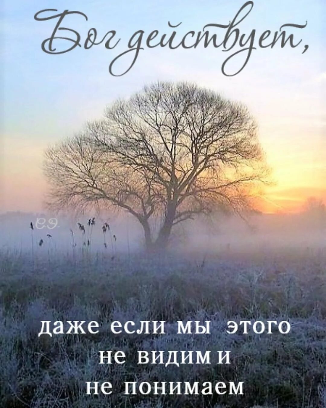 Утро доброе христианские с цитатами. Христианские пожелания доброго утра. Христианские пожелания с добрым утром. Мир божий который превыше всякого ума соблюдет сердца ваши. Христианские пожелания с добрым утром с цитатами из библии.